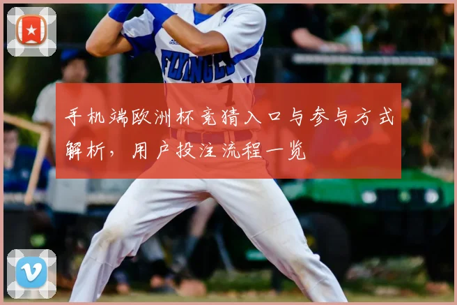 手机端欧洲杯竞猜入口与参与方式解析,用户投注流程一览