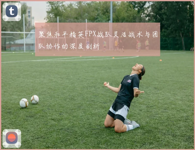 聚焦和平精英FPX战队灵活战术与团队协作的深度剖析
