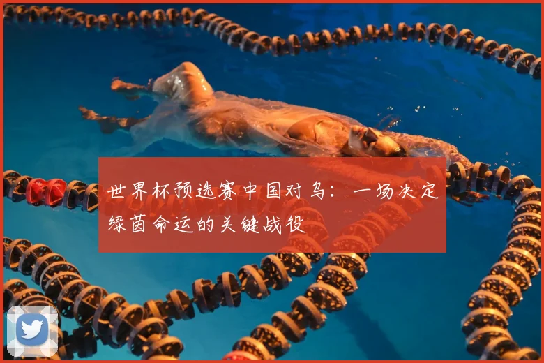 世界杯预选赛中国对乌：一场决定绿茵命运的关键战役