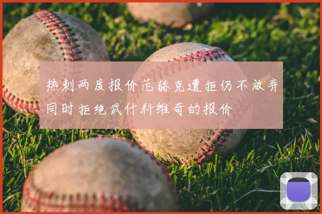 热刺两度报价范赫克遭拒仍不放弃同时拒绝武什科维奇的报价