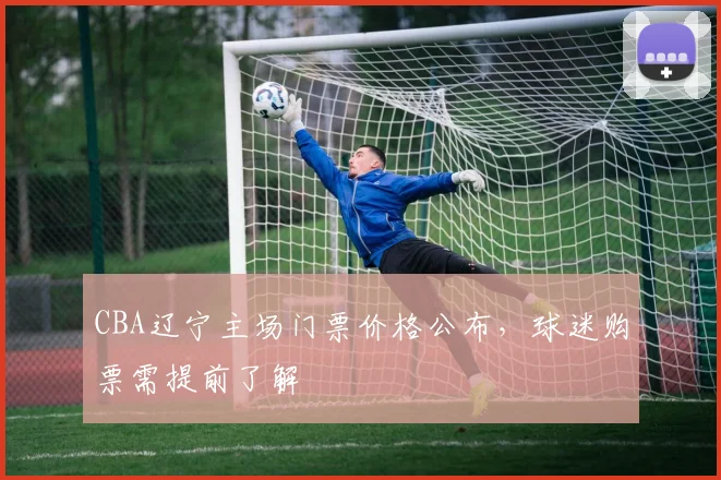 CBA辽宁主场门票价格公布，球迷购票需提前了解