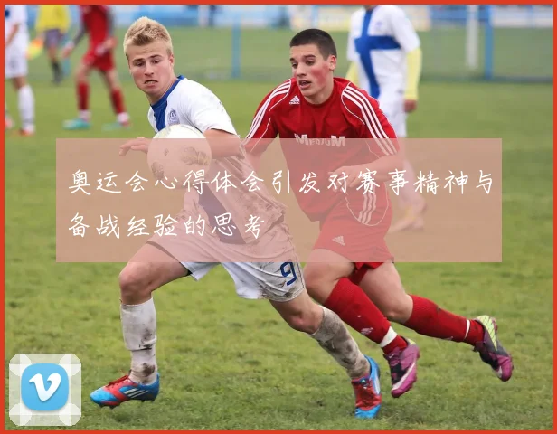 奥运会心得体会引发对赛事精神与备战经验的思考