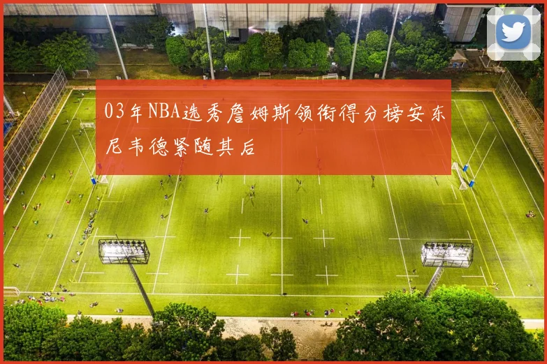 03年NBA选秀詹姆斯领衔得分榜安东尼韦德紧随其后