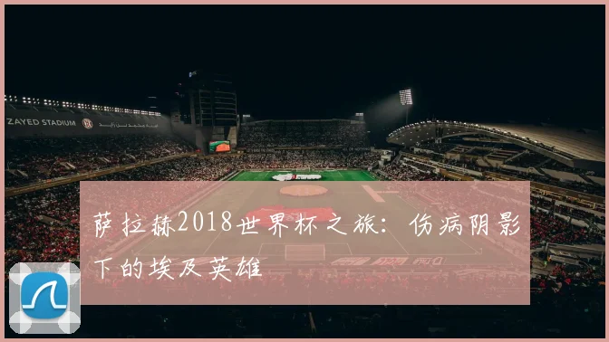 萨拉赫2018世界杯之旅：伤病阴影下的埃及英雄