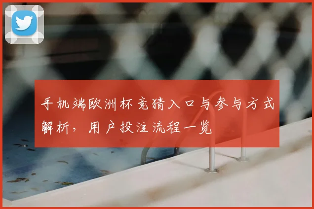 手机端欧洲杯竞猜入口与参与方式解析,用户投注流程一览