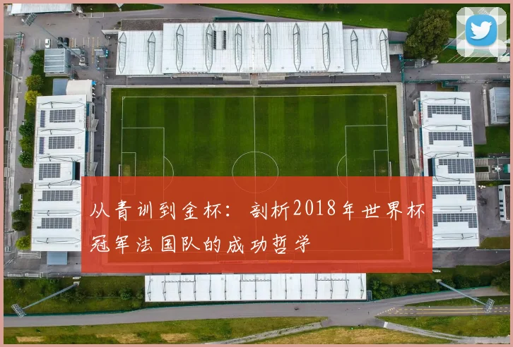 从青训到金杯:剖析2018年世界杯冠军法国队的成功哲学