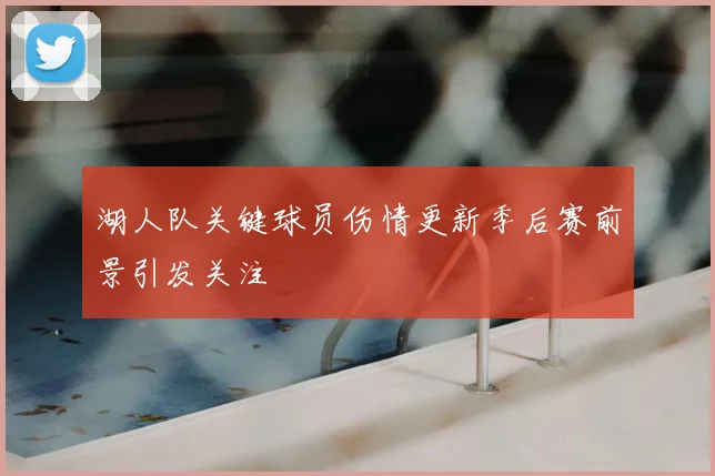 湖人队关键球员伤情更新季后赛前景引发关注
