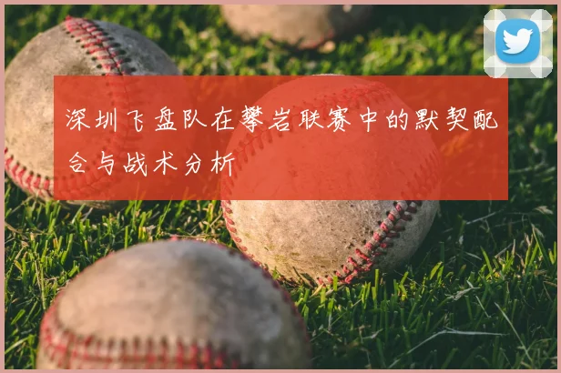 深圳飞盘队在攀岩联赛中的默契配合与战术分析